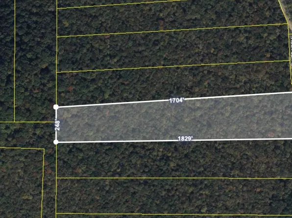 TRACT 17 Rock Spring Rd, Owens Cross Roads, AL 35763