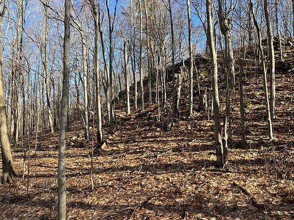 3rd image of 0 Lafaver Rd #2