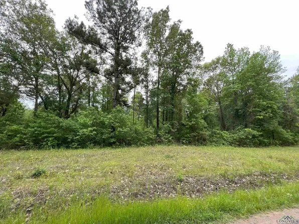 LOT 20 Walker Ln, Hallsville, TX 75650