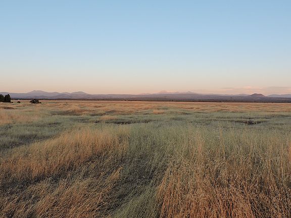 5th image of 40 Acres Millville Plains Road