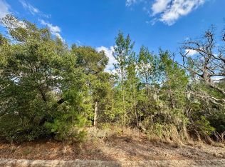 NE 159th Ct LOT 4, Fort Mc Coy, FL 32134