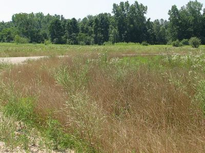 Jane Way UNIT 4, Sawyer, MI, 49125