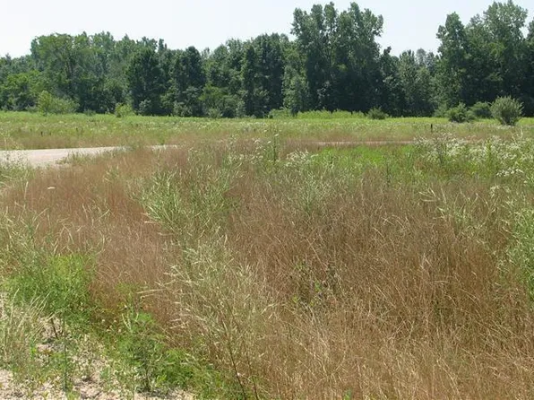 Jane Way Unit 4, Sawyer, MI 49125