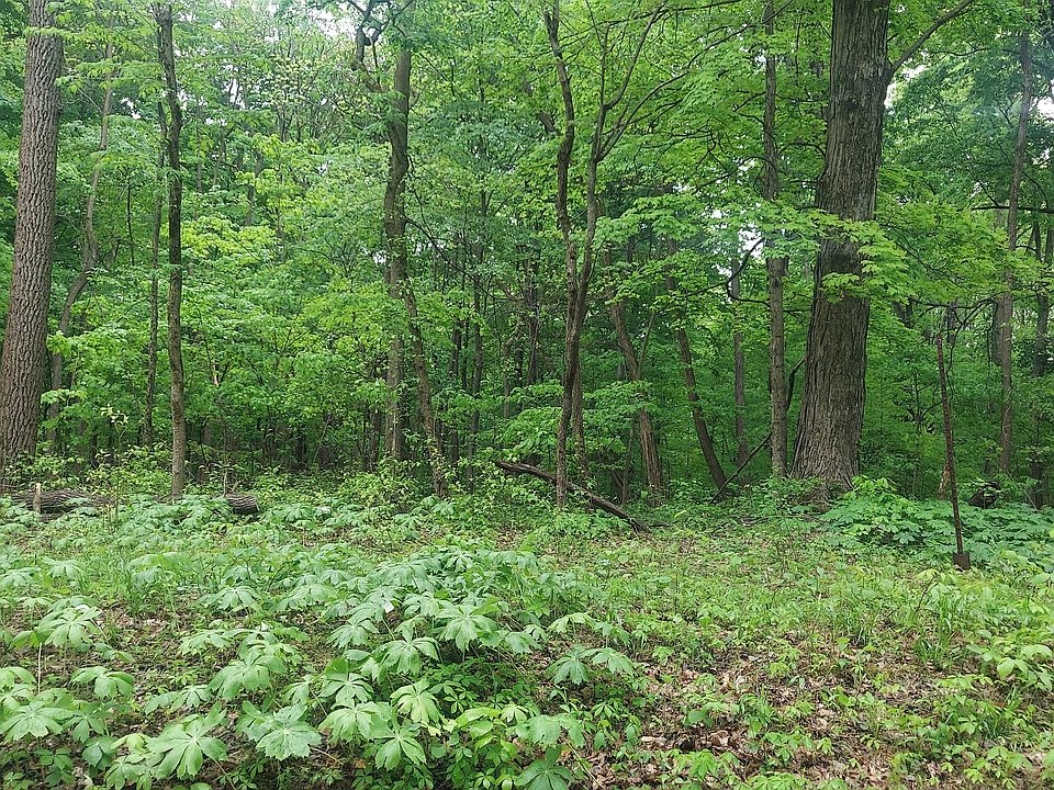 2nd image of 5696 E Jensen Rd