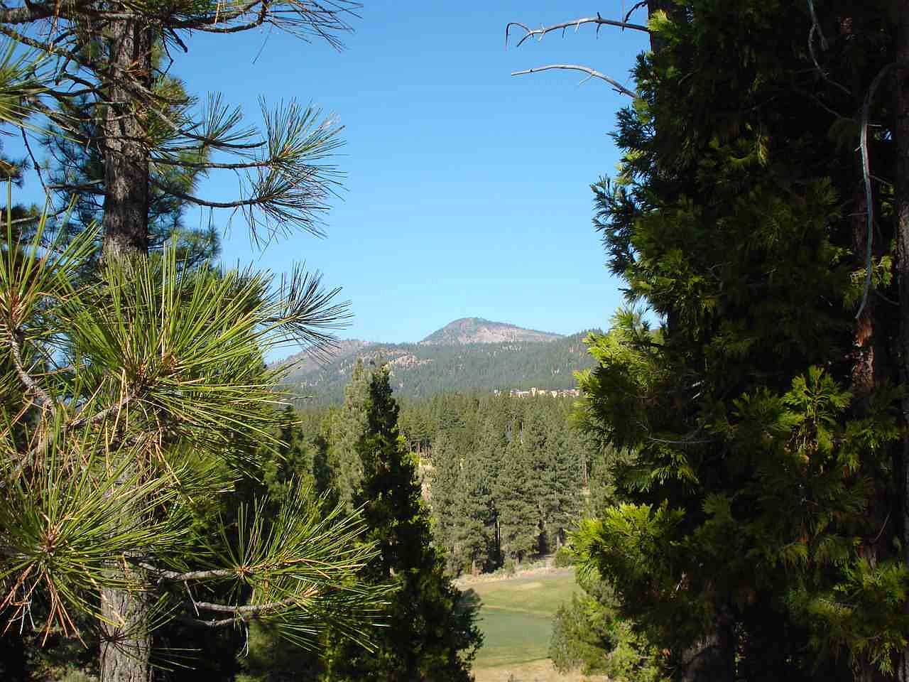 2155 Grizzly Rd, Portola, CA 96122 Zillow