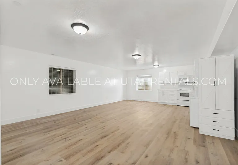 1076 Bear Hollow Ln #BASEMENT — Photo 3