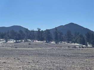 262 Grand Teton Drive, Hartsel, CO 80449