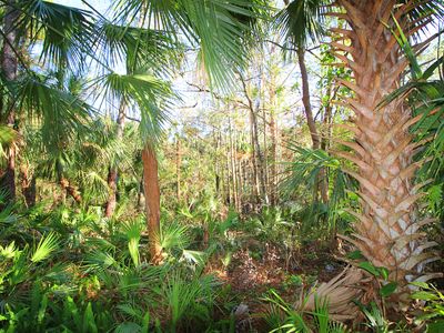1478 Connors Ln, Winter Springs, FL, 32708