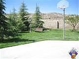 Basketball hoop in fron yard