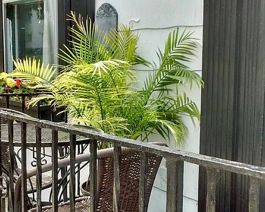 Front porch