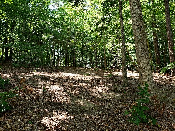 4th image of Powell Lot 4