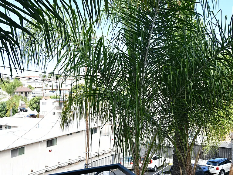 Cascadia Apartments — Photo 13