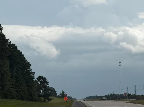 Highway 171, Longville, LA 70652