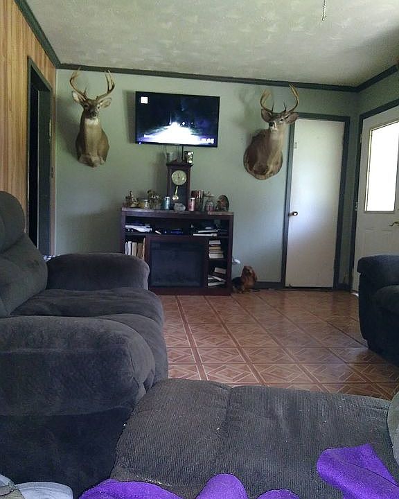 1st image of 115 Northwood Dr