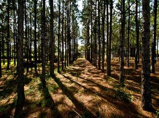 801 Debuel Rd, Lutz, FL 33549