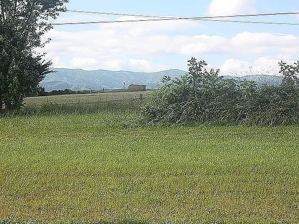 Calico Rd Lot 14, Afton, TN 37616