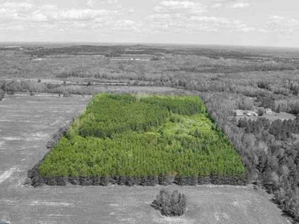 Tbd Rainey Rd, Hibbing, MN 55746
