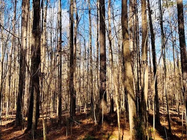 0 Sulphur Springs Rd, Ramer, TN 38367