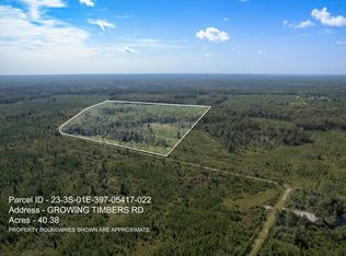 22 Growing Timbers Rd, Crawfordville, FL 32327