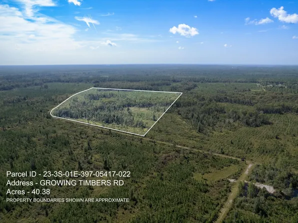 22 Growing Timbers Rd, Crawfordville, FL 32327