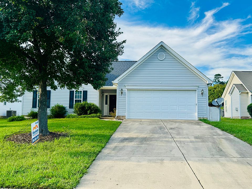 Black Maple_10072024