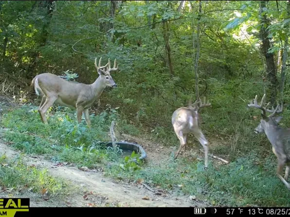 9096 State Route 41, Aberdeen, OH 45101