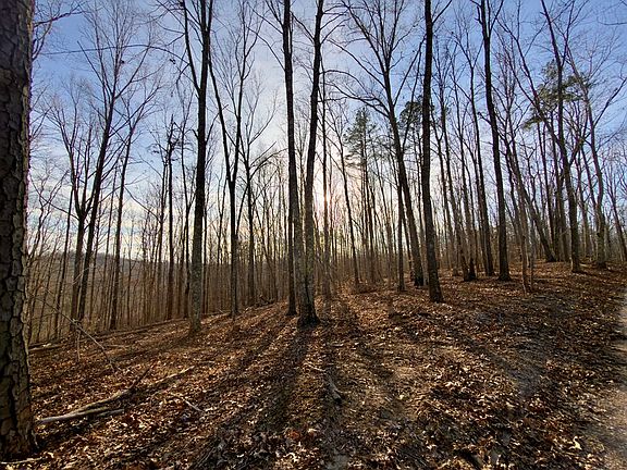 5th image of 0 Muddy Ridge Rd