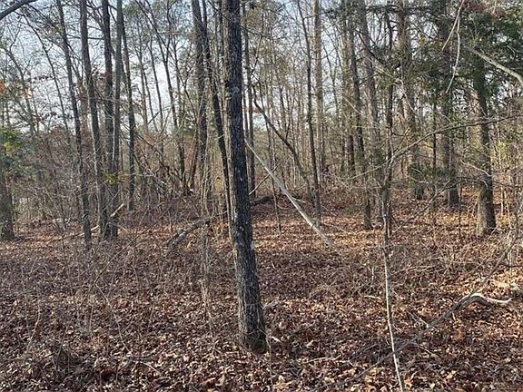 4th image of 0 NE Miller Bottom Rd