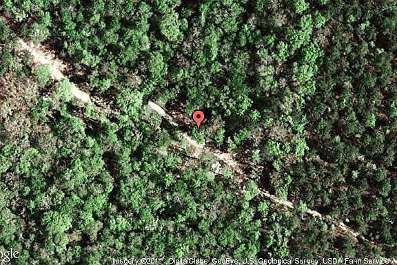 Map View