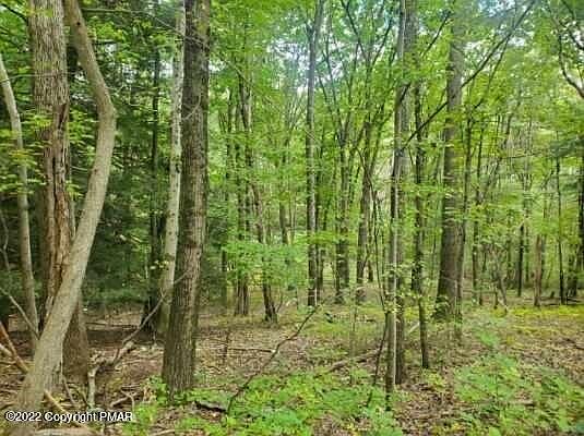 2nd image of LOT 24 Cayuga Ct