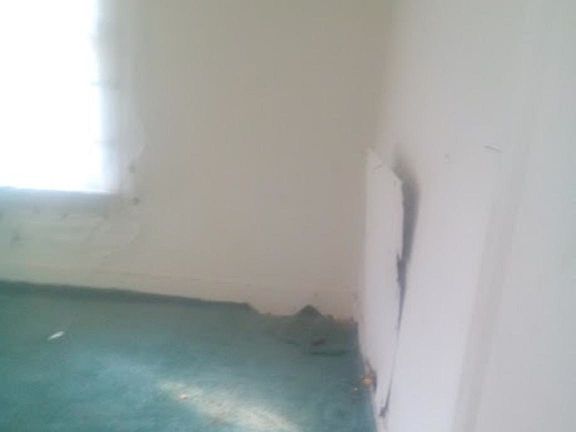 4th image of 1210 E Mallory Ave