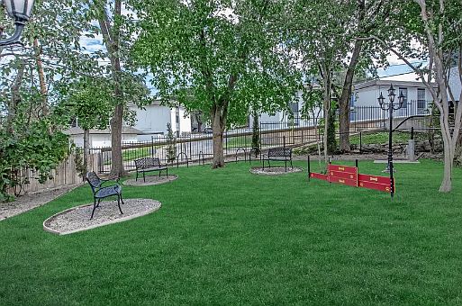 Spacious lawn area ideal for picnics, pets, and enjoying the sunshine in a park-like setting.