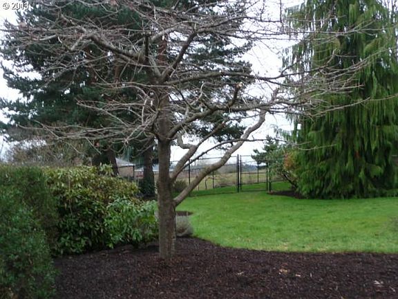 2nd image of 3017 NE 157th St