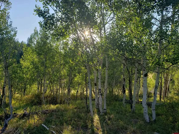 342 & 344 Spruce Glen, Pagosa Springs, CO 81147