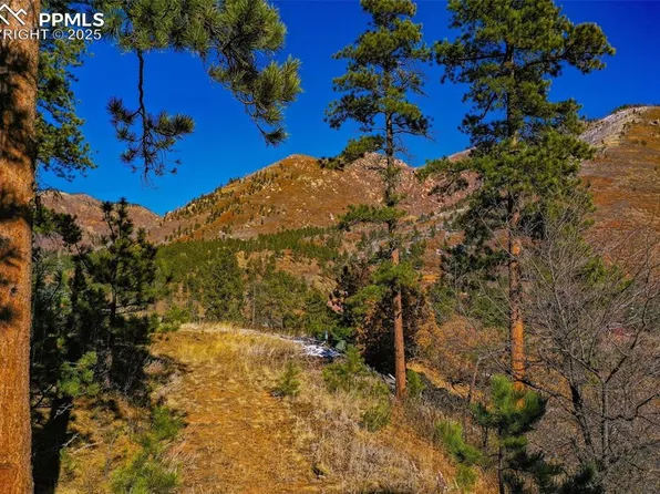 5330 Chipita Pines Dr, Cascade, CO 80809