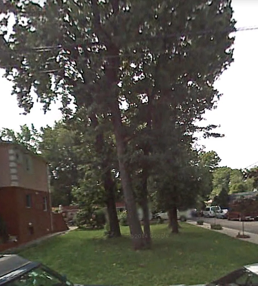 Sheridan Ave photo 1