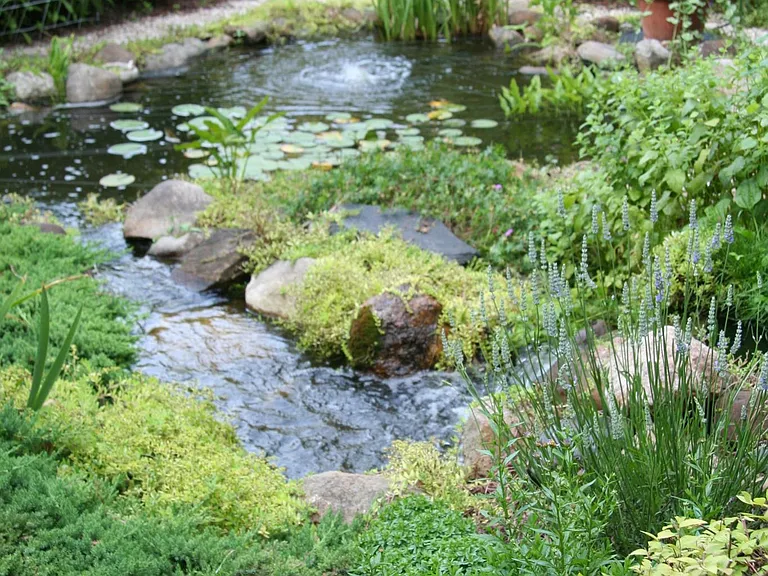 View of a hidden waterfall and pond nestled within a perennial garden.