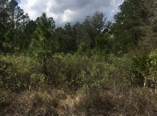 9945 Kirchherr Ave, Hastings, FL 32145
