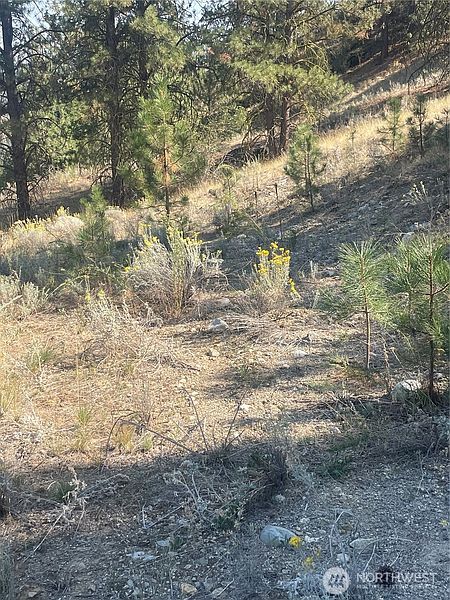 5th image of 0 TBD Reevas Basin Road