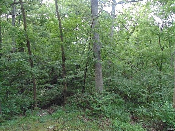5th image of 27 Northwoods Trl