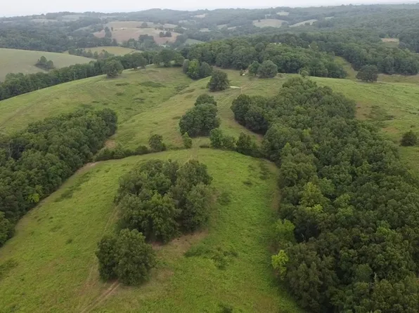 Barren Hollow Rd, Marshall, AR 72650