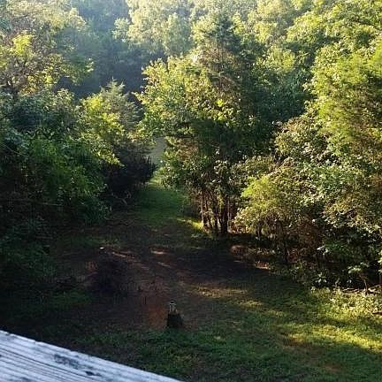Rear Yard 3