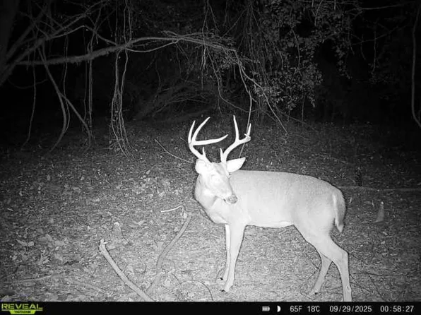 0 Highway 51, Durant, MS 39063