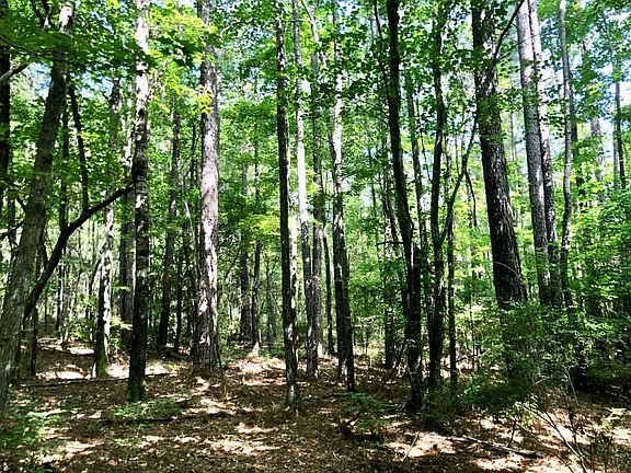 2nd image of 0 County Road 308