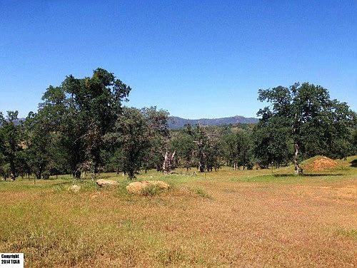 2nd image of 10151 Piney Creek Rd