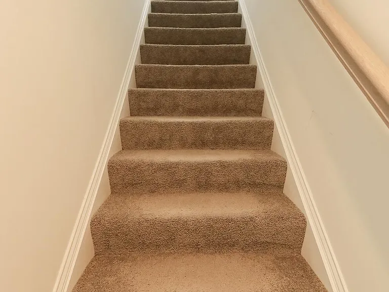 1317 Canning Way — Photo 48