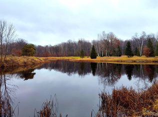 1357 Burnside Rd, North Branch, MI 48461