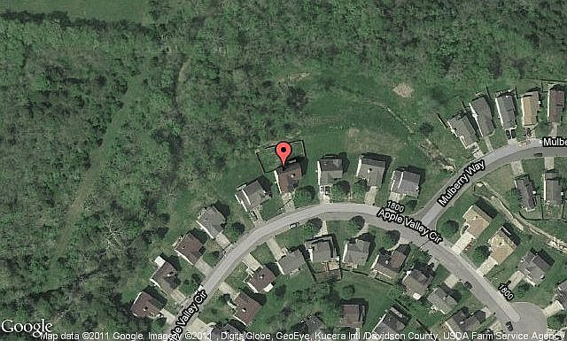 Map View