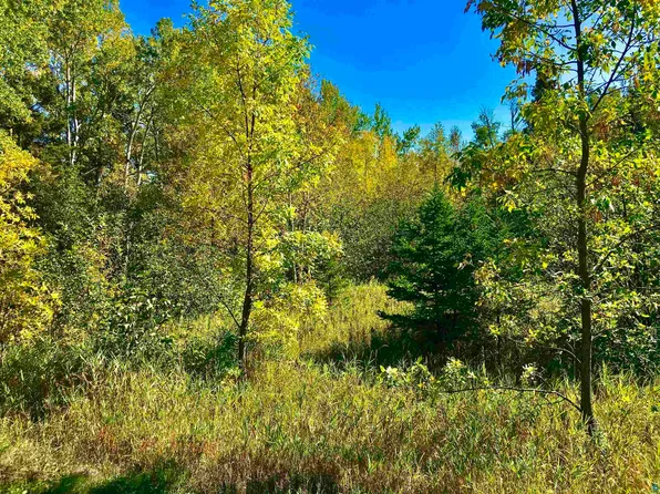 X36 Isak Rdg, Lutsen, MN 55612