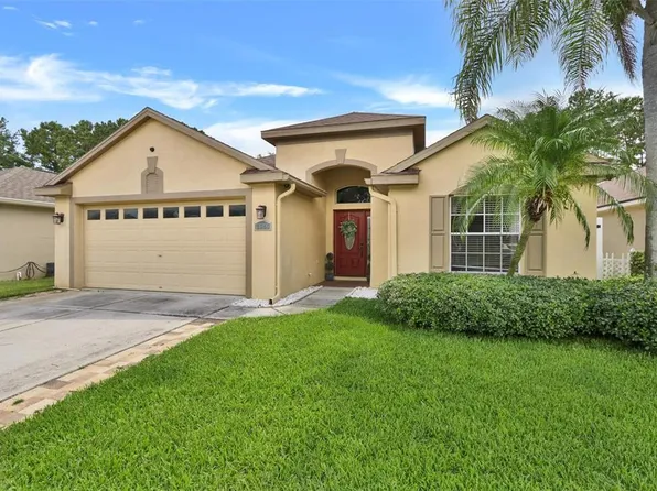 2646 Hawk Roost Ct, Holiday, FL 34691